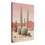 Cuadros Grupo de cactus en un desierto