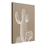 Cuadros Cactus con espinas y flores