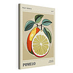 Cuadros Arte con pomelos en colores vivos
