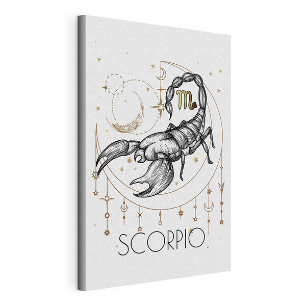 Dibujo de un escorpión Cuadros Dibujo de un escorpión