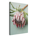 Cuadros Flor de protea sobre una mesa