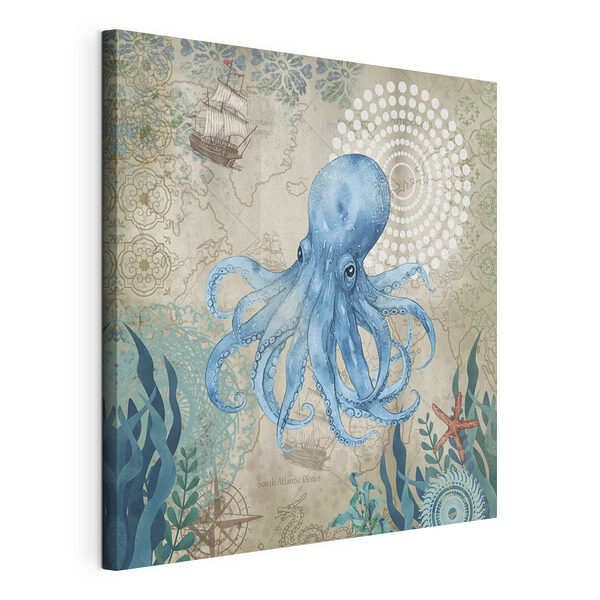 Cuadros Pulpo azul en un mapa