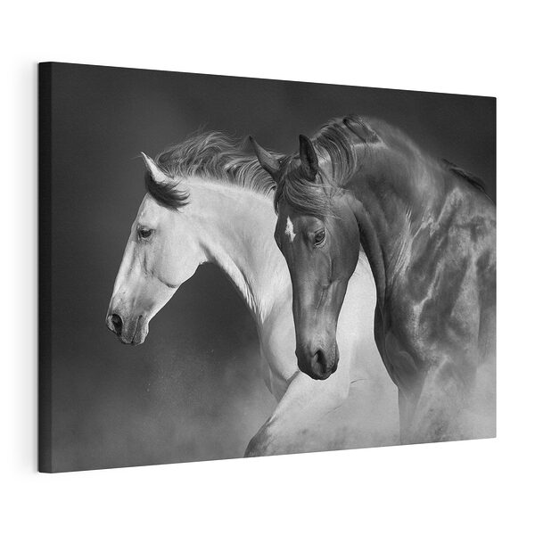 Cuadros Dos caballos corriendo entre la niebla