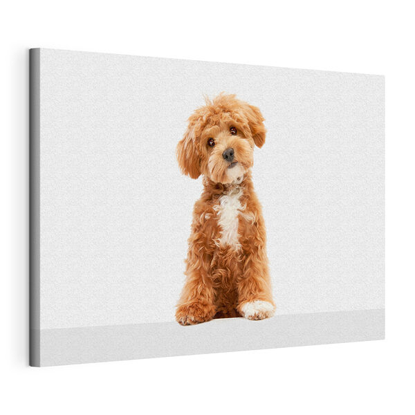 Cuadros Un cachorro adorable inclina la cabeza con curiosidad