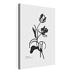 Cuadros Dibujo en blanco y negro de una flor