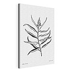 Cuadros Dibujo en blanco y negro de una planta