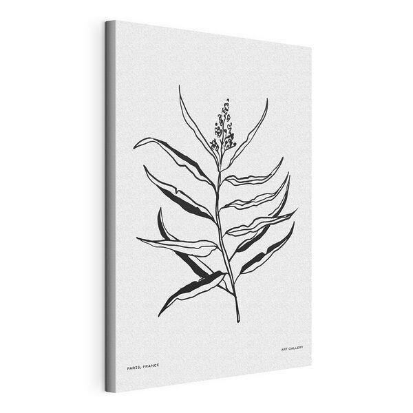 Dibujo en blanco y negro de una planta Cuadros Dibujo en blanco y negro de una planta
