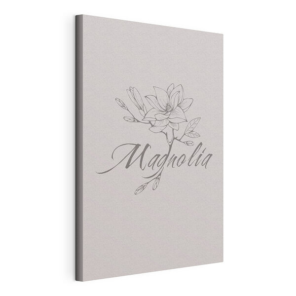Elegante ilustración de una magnolia Cuadros Elegante ilustración de una magnolia