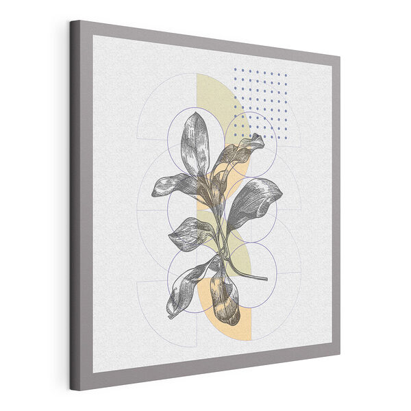 Cuadros Dibujo de una planta