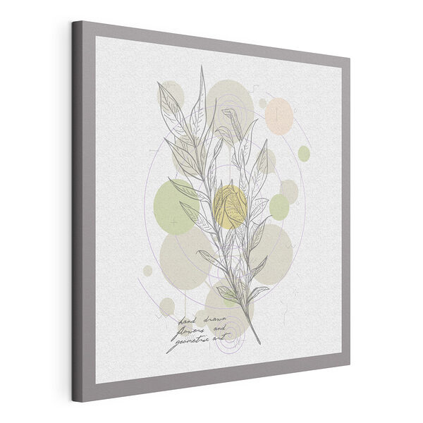 Cuadros Dibujo de una planta