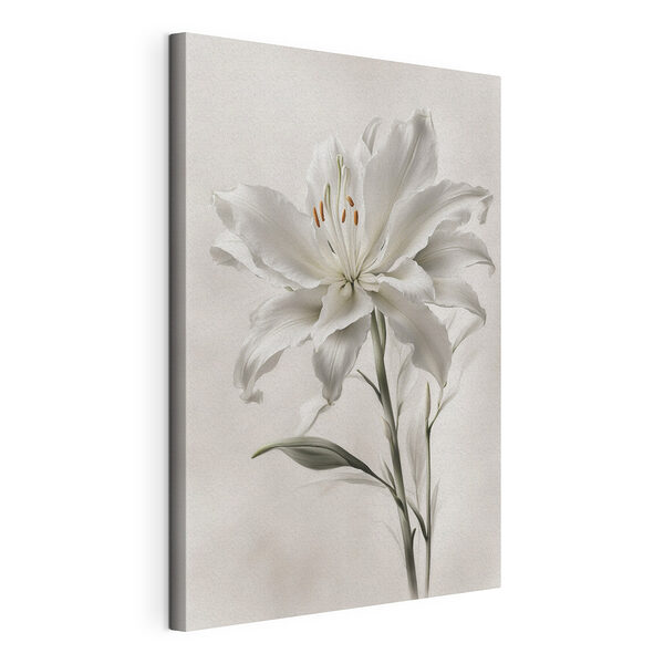 Elegante lirio blanco en flor Cuadros Elegante lirio blanco en flor