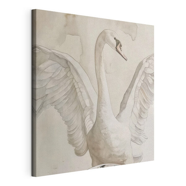 Un majestuoso cisne extendiendo sus alas Cuadros Un majestuoso cisne extendiendo sus alas