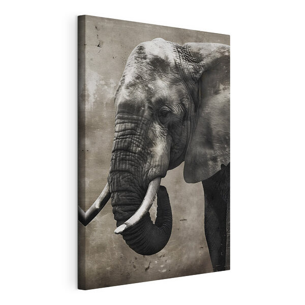 Cuadros Un elefante con colmillos (SKU: s38291) Cuadros Cuadros Un elefante con colmillos (SKU: s38291)