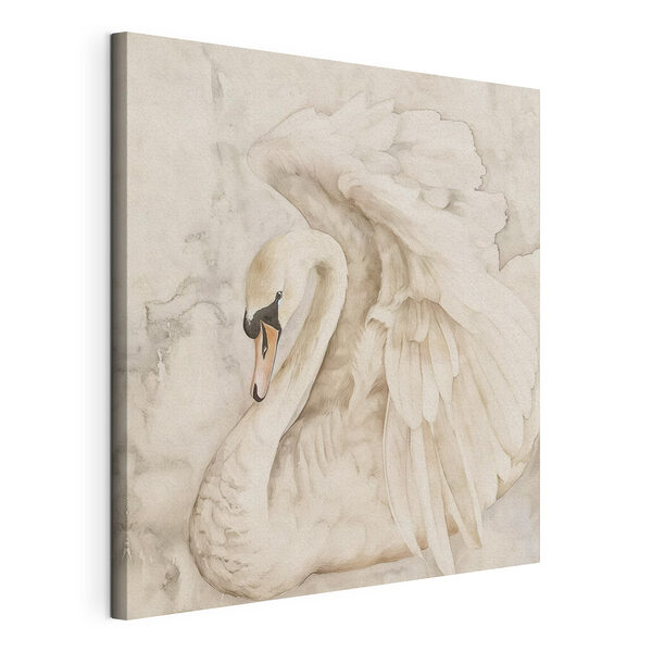 Elegante cisne con las alas levantadas Cuadros Elegante cisne con las alas levantadas