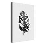 Cuadros Imagen en blanco y negro de una hoja