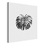 Cuadros Hoja de monstera con efecto texturizado