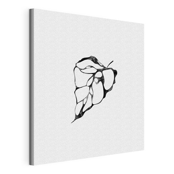 Cuadros Imagen en blanco y negro de una hoja