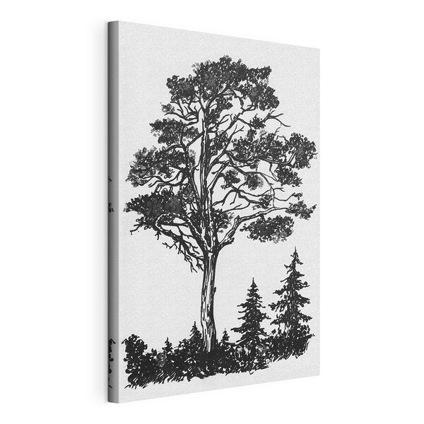 Dibujo en blanco y negro de un árbol Cuadros Dibujo en blanco y negro de un árbol