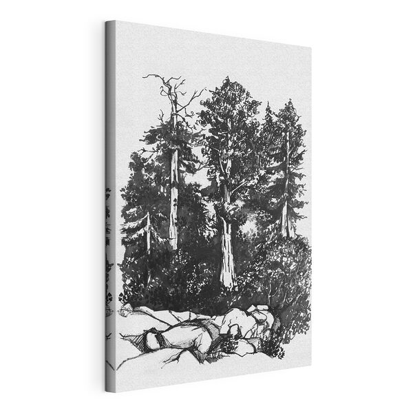 Cuadros Boceto de un bosque con árboles imponentes