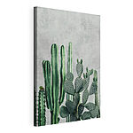 Cuadros Surtido de cactus con fondo texturizado