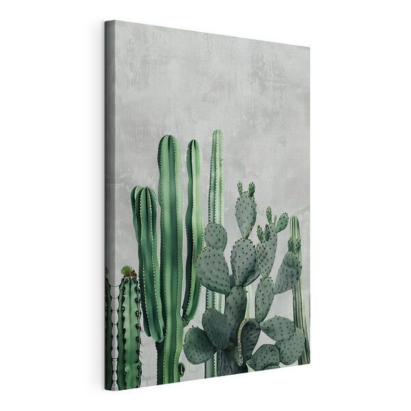 Surtido de cactus con fondo texturizado Cuadros Surtido de cactus con fondo texturizado