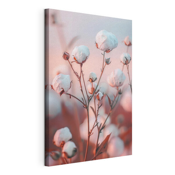 Suaves flores de algodón en tonos pastel Cuadros Suaves flores de algodón en tonos pastel