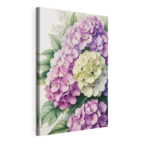 Cuadros Hortensias de colores vivos en plena floración