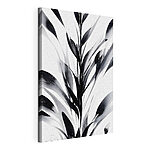 Cuadros Imagen en blanco y negro de una planta