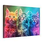 Cuadros Grupo de gatitos mirando hacia arriba