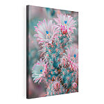Cuadros Cactus en flor en tonos pastel