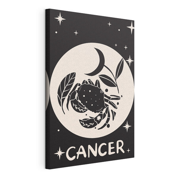 Dibujo en blanco y negro de un cangrejo y una planta Cuadros Dibujo en blanco y negro de un cangrejo y una planta