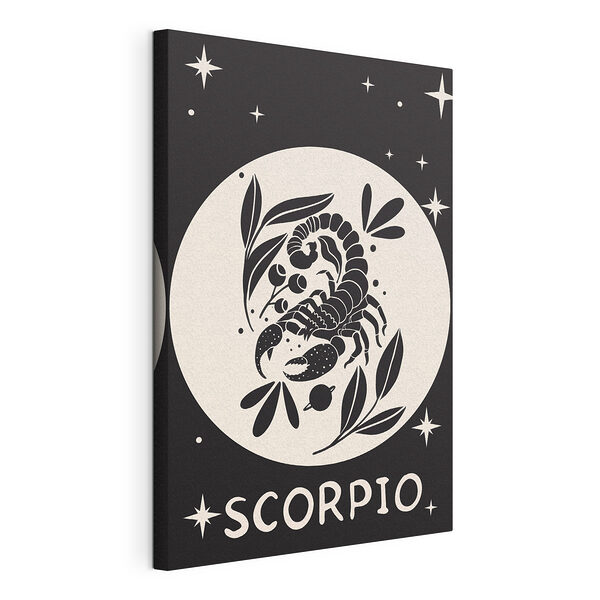 Dibujo en blanco y negro de un escorpión Cuadros Dibujo en blanco y negro de un escorpión