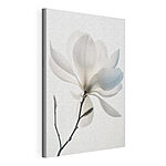 Cuadros Flor blanca con hojas