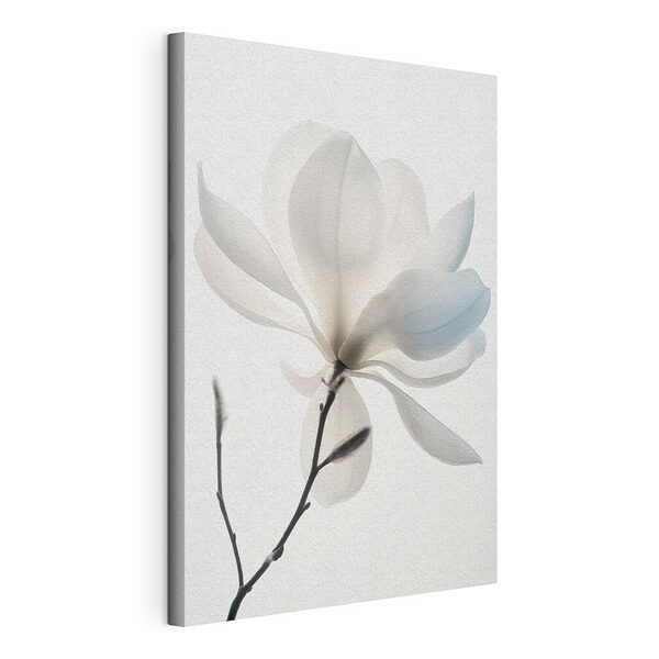 Flor blanca con hojas Cuadros Flor blanca con hojas