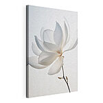 Cuadros Flor blanca con pétalos