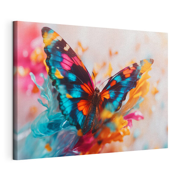 Cuadros Mariposa sobre una flor
