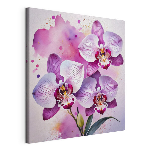 Las orquídeas florecen en toda su belleza en acuarela Cuadros Las orquídeas florecen en toda su belleza en acuarela