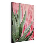 Cuadros Hojas de agave en tonos artísticos
