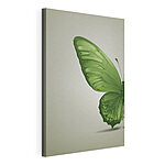 Cuadros Mariposa verde con alas