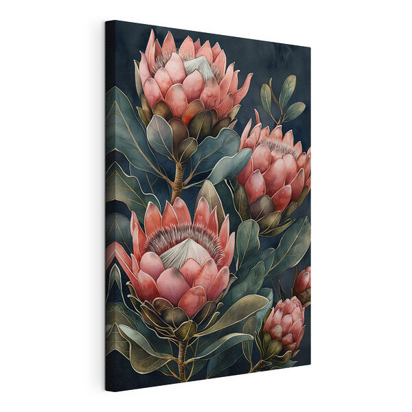 Elegantes proteas rosas en flor Cuadros Elegantes proteas rosas en flor