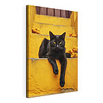 Cuadros Gato negro tumbado en una escalera