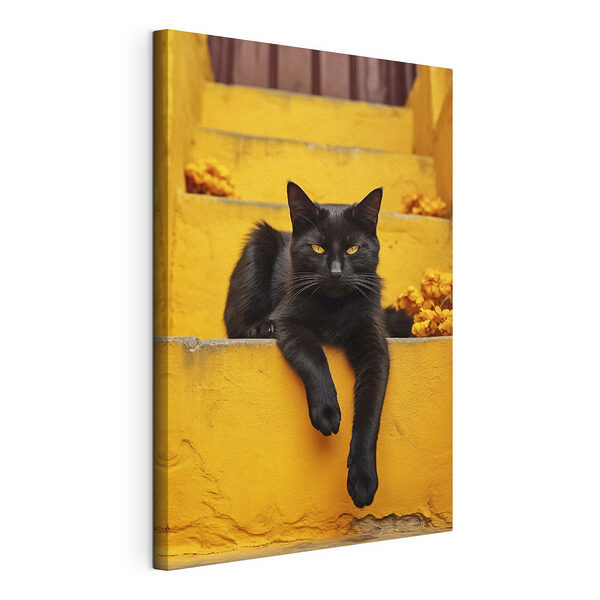 Cuadros Gato negro tumbado en una escalera