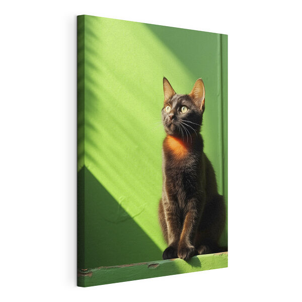 Cuadros Gato sentado en una silla
