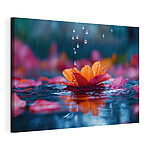 Cuadros Flor en el agua