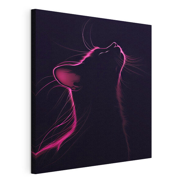 Cuadros Gato con luces rosas