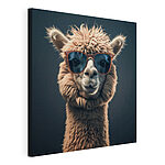 Cuadros Lama con gafas de sol