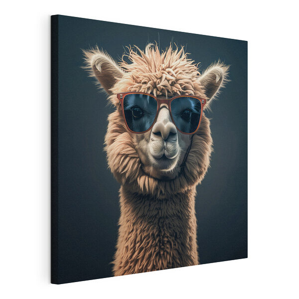 Cuadros Lama con gafas de sol