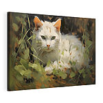Cuadros Gato blanco tumbado en la hierba