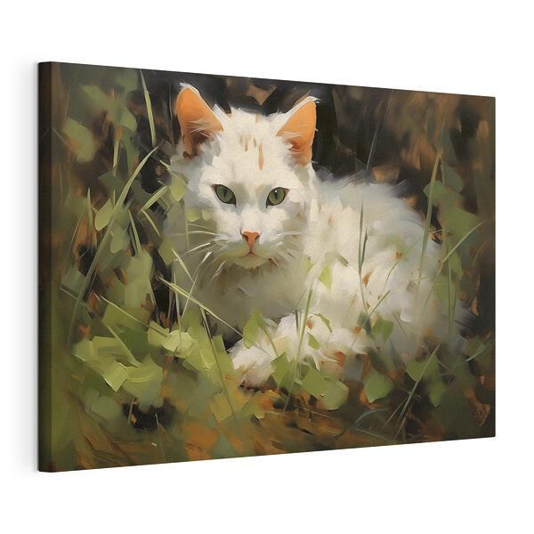 Cuadros Gato blanco tumbado en la hierba
