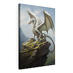 Cuadros Dragón blanco sobre una roca